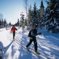 country-skiing